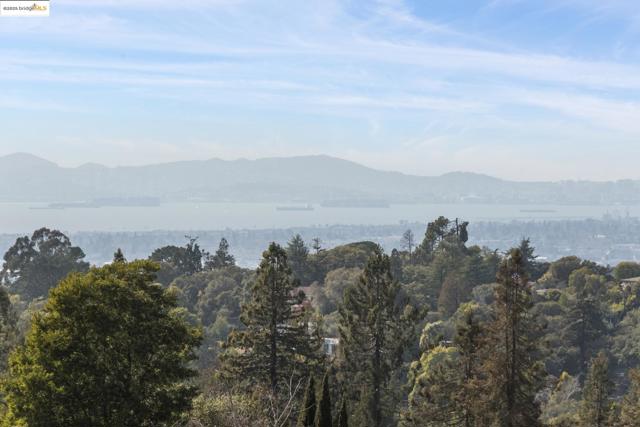 93 Thousand Oaks St, Oakland CA: https://media.crmls.org/mediaz/dbef0e7d-fc36-4467-ab00-10120fe2613c.jpg