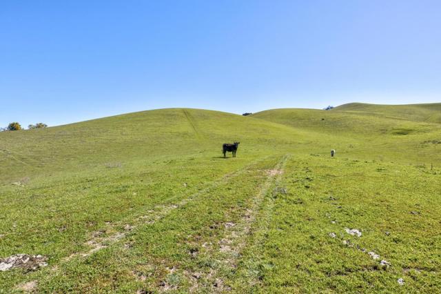 0 Bella Madeira Lane, San Jose CA: https://media.crmls.org/mediaz/dbf6f3c2-fc24-4da6-a1f3-c9a6b03dde2e.jpg