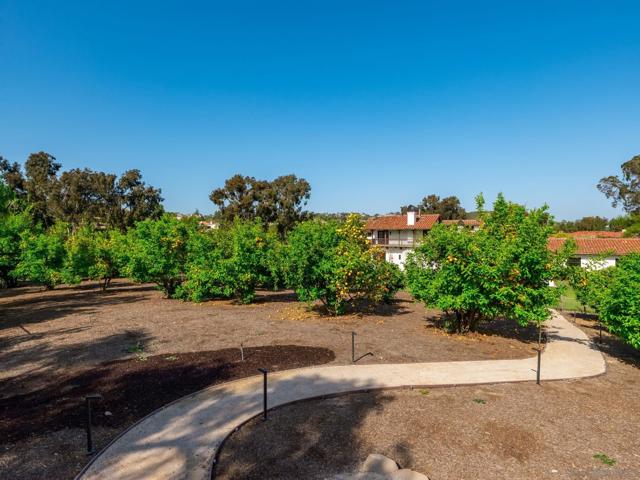 14242 Dalia Dr Lot 89, Rancho Santa Fe CA: https://media.crmls.org/mediaz/dbf86d48-3c35-474a-b145-0cb8e1a8709c.jpg