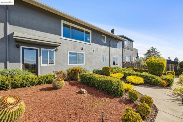 256 Cambridge Ave, Kensington CA: https://media.crmls.org/mediaz/dbfb886b-7395-407b-9a6b-bb651110c00a.jpg