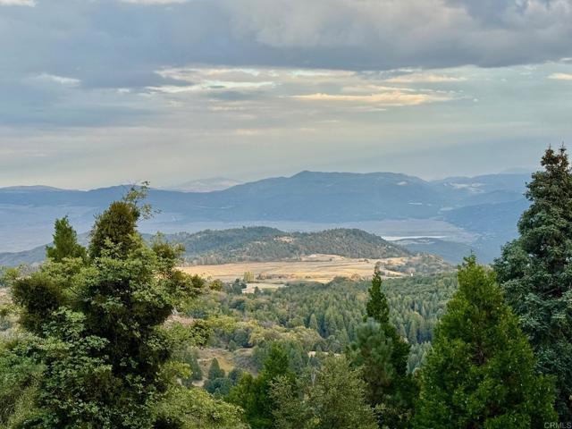 Detail Gallery Image 32 of 47 For 32771 Birch Hill Rd, Palomar Mountain,  CA 92060 - 2 Beds | 2 Baths