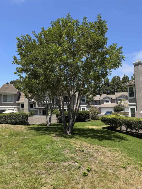13368 Kibbings Road, San Diego, California 92130, 2 Bedrooms Bedrooms, ,2 BathroomsBathrooms,Residential Lease,For Rent,13368 Kibbings Road,CRNDP2506885