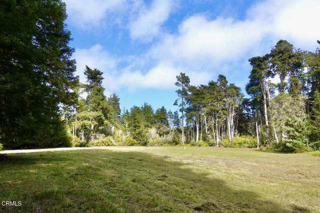 Detail Gallery Image 12 of 16 For 43535 Comptche Ukiah Rd, Mendocino,  CA 95460 - – Beds | – Baths