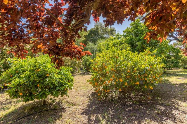 86 Belbrook Way, Atherton CA: https://media.crmls.org/mediaz/dc17f4c8-e75c-40dd-a64e-082cb5e9accb.jpg