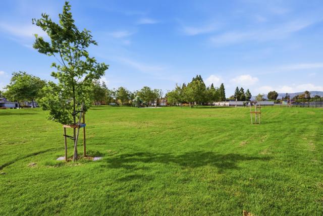 1497 Meadow Glen Way, San Jose CA: https://media.crmls.org/mediaz/dc1dafa9-6c8b-4aa9-83a3-374d5c7cdca9.jpg