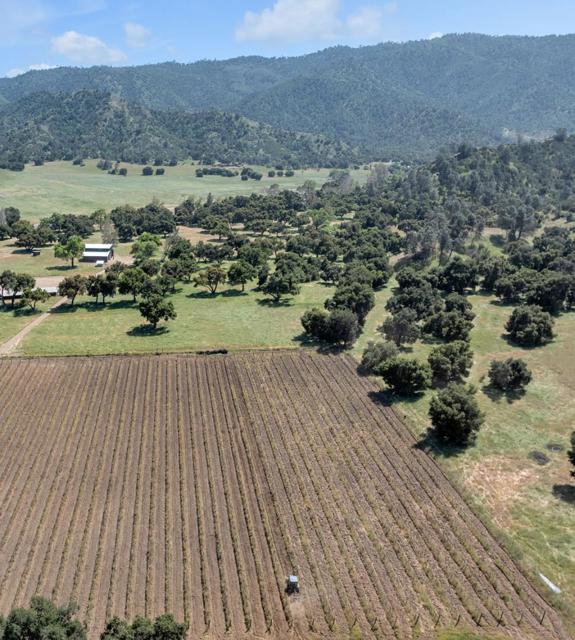 770 Limekiln Road, Hollister CA: https://media.crmls.org/mediaz/dc332865-3ede-4d25-b7f2-06d141fc9e0c.jpg