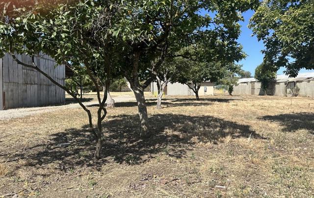 0 Llagas Avenue, San Martin CA: https://media.crmls.org/mediaz/dc38f299-de89-4cc3-8091-7934c3e80d13.jpg