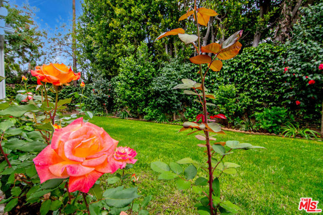 12954 Otsego Street, Sherman Oaks CA: https://media.crmls.org/mediaz/dc3dc940-1b5e-47cd-9b45-9930d982b7cf.jpg