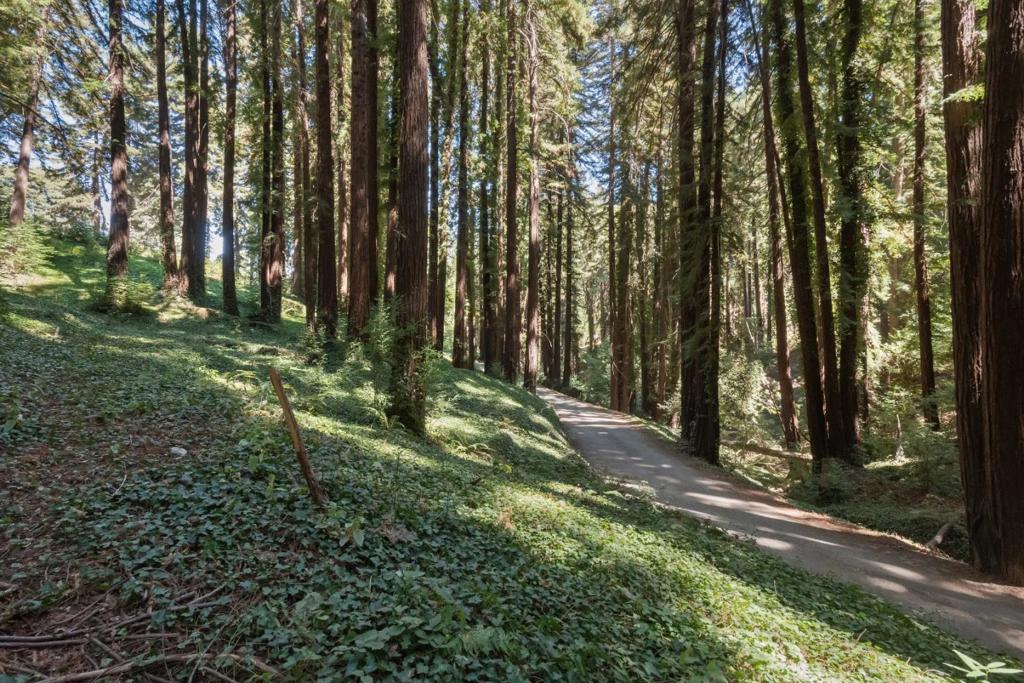 MLS #ML81988191 image #8