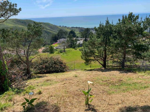 532 Heathcliff Dr, Pacifica CA: https://media.crmls.org/mediaz/dc48d37b-7e57-4024-a0b8-b21c91a462bb.jpg