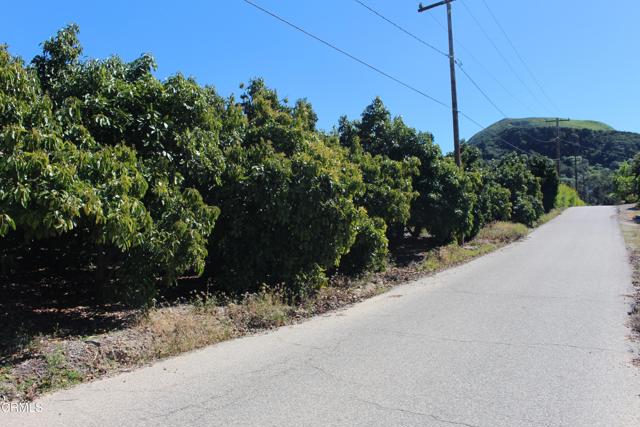 Detail Gallery Image 4 of 41 For 1550 Santa Paula St, Fillmore,  CA 93015 - 3 Beds | 1 Baths