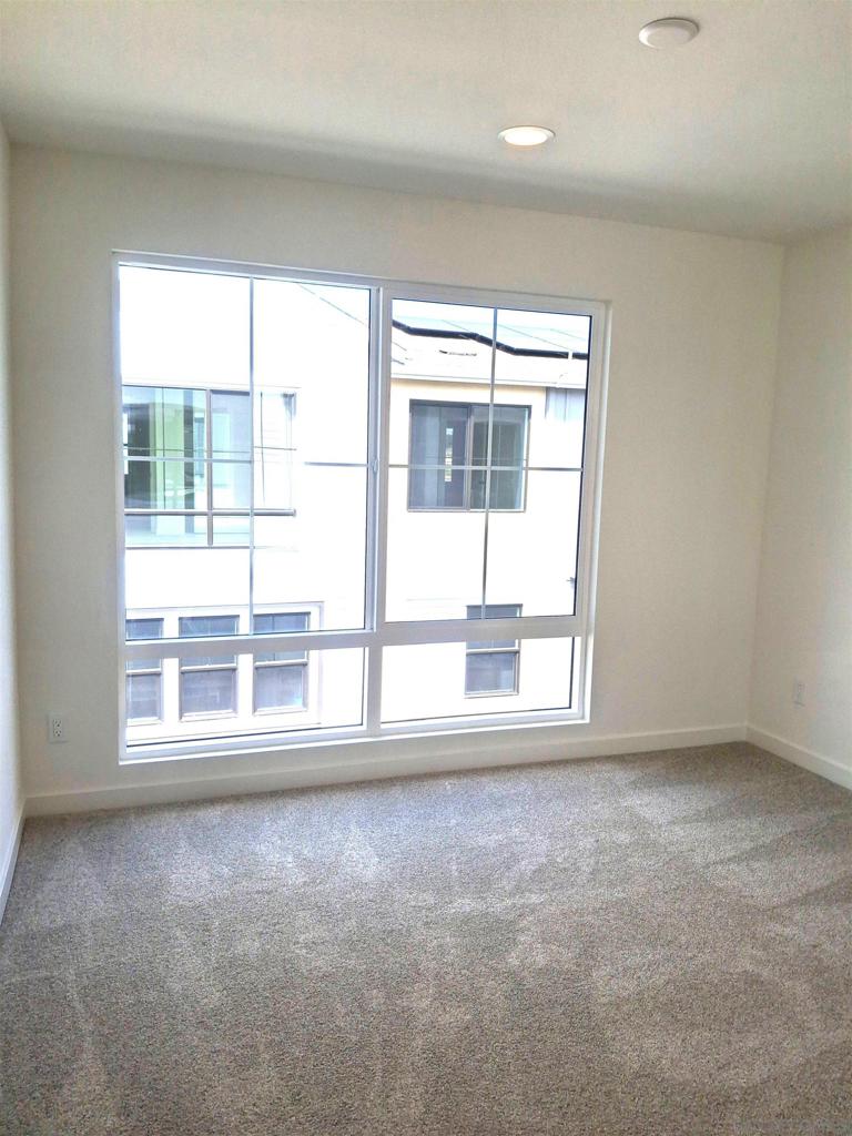 2586 Delphinium - photo 13