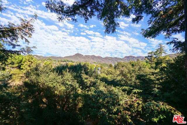 730 Basin Drive, Topanga CA: https://media.crmls.org/mediaz/dc769b04-0c8b-4f78-bdd4-e80e7a68bd19.jpg