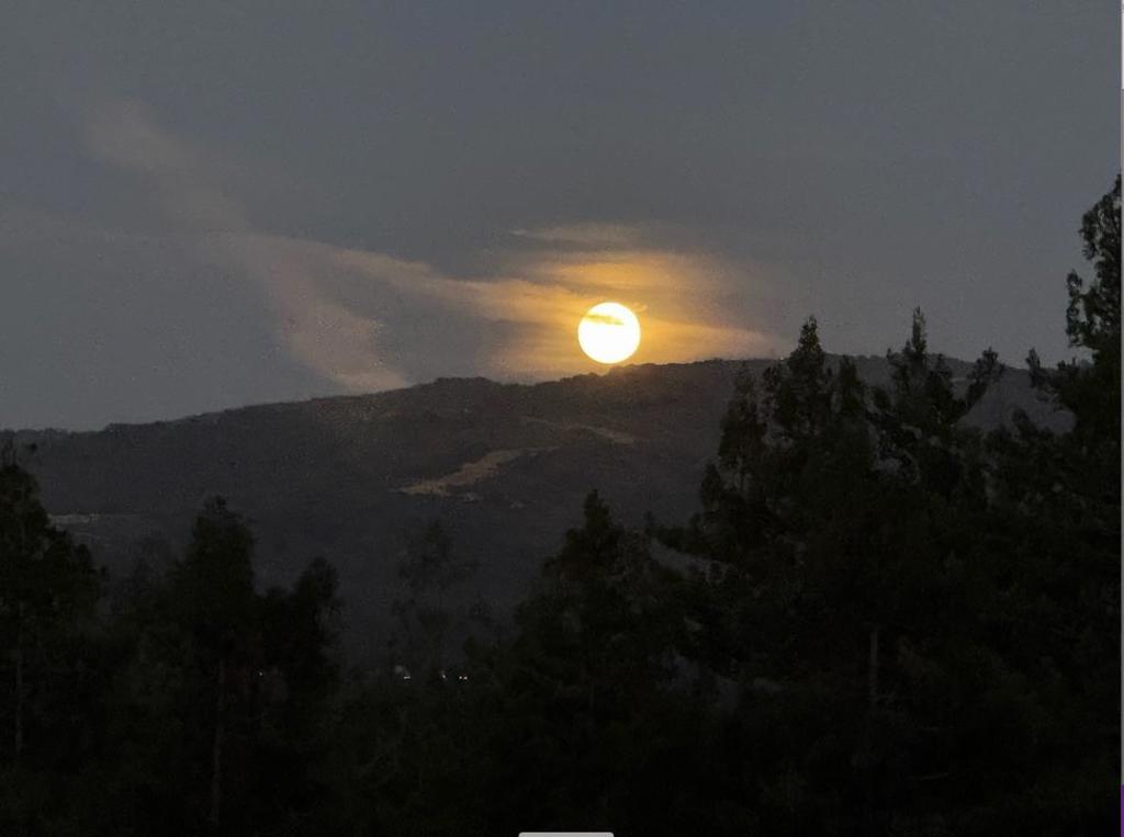 https://media.crmls.org/mediaz/dc873c80-9e6a-479f-97da-16937da44f8e.jpg?preset=X-Large