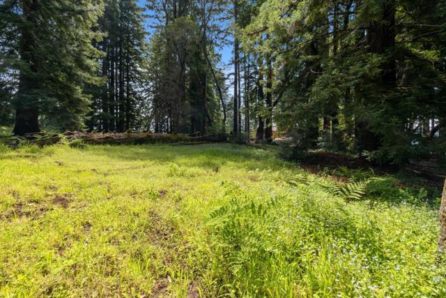 220 Hillary, Boulder Creek CA: https://media.crmls.org/mediaz/dc8839ed-c291-470c-86b9-d780d935ccb5.jpg