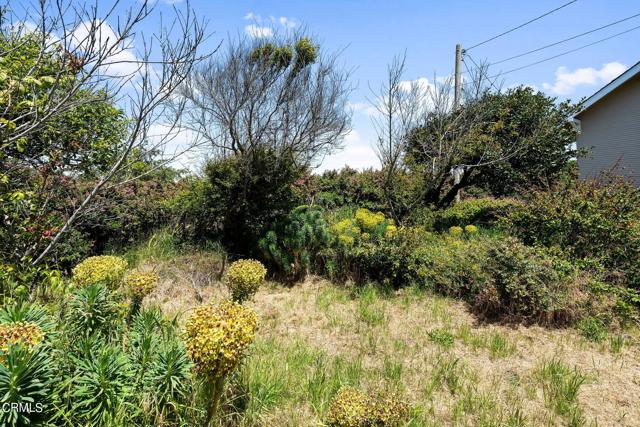 Detail Gallery Image 38 of 49 For 739 West St, Fort Bragg,  CA 95437 - 4 Beds | 2 Baths