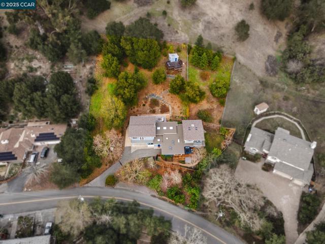 231 Orchard Rd, Orinda CA: https://media.crmls.org/mediaz/dc8e4a77-e3f6-4b27-a97a-6e9e6e738ca6.jpg