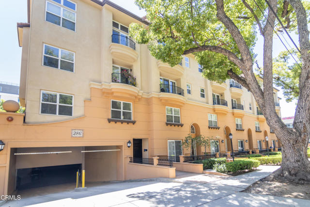 286 N Madison Avenue, Pasadena CA: https://media.crmls.org/mediaz/dcb0daad-d244-4644-a102-fb2dc840f885.jpg