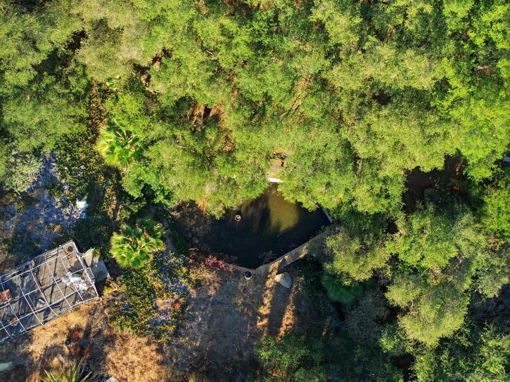 https://media.crmls.org/mediaz/dcbe59eb-12d2-4af8-b568-ad0b4360d5c9.jpg?preset=X-Large