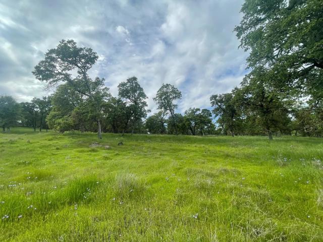 0 Avacado Road, Oroville CA: https://media.crmls.org/mediaz/dccb1b49-4a15-4fce-9927-951a083426bf.jpg
