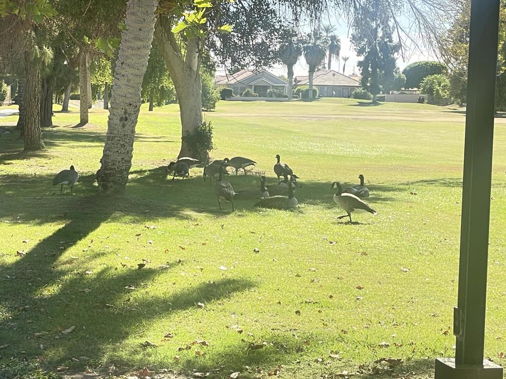 MLS #219136341DA image #16