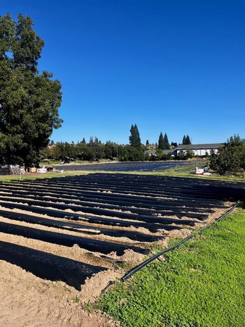 7314 Santa Juanita Avenue, Orangevale CA: https://media.crmls.org/mediaz/dcdbf9d9-8c1e-4df5-98a3-5551aace1175.jpg