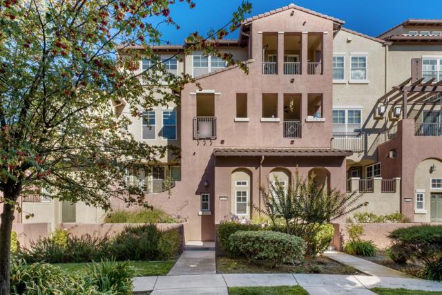 1339 Marcello Drive, San Jose CA: https://media.crmls.org/mediaz/dce3e92a-d6f3-46cf-b0bf-b6cbccfb2bf2.jpg