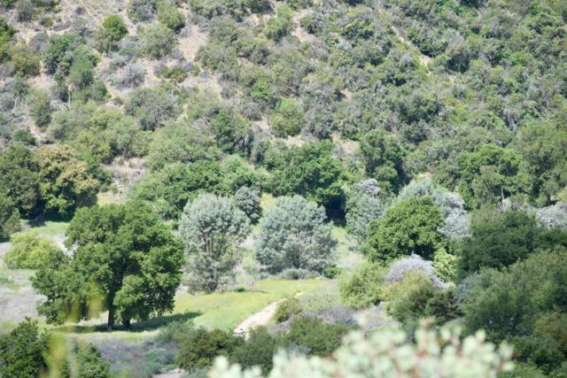 60501 Lockwood San Lucas Road, King City CA: https://media.crmls.org/mediaz/dcf15ae9-f835-48a4-a2df-1682f162697a.jpg