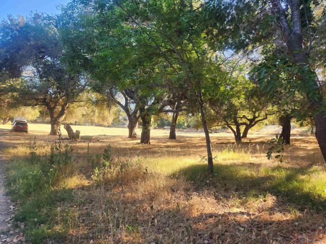 0 Highway 67, Ramona CA: https://media.crmls.org/mediaz/dcf82481-5b50-4614-94b7-de2457052874.jpg