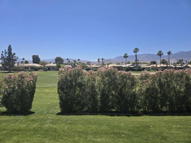 67665 S Natoma Drive, Cathedral City CA: https://media.crmls.org/mediaz/dd0526e6-08a5-4edf-8da3-3e830f19f903.jpg