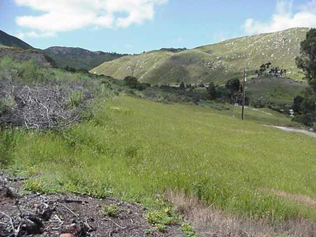 Image 3 of 8 For 0 Quail Haven Lane