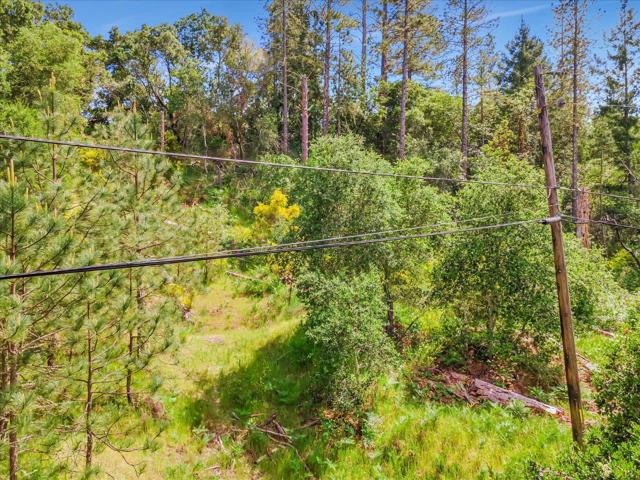 0 Zayante School Road, Felton CA: https://media.crmls.org/mediaz/dd06e127-113a-4918-9d06-30e817443b5a.jpg