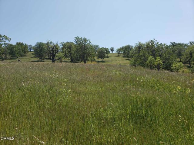 0 Roan, Tehachapi, CA, 93561 0 Roan, Tehachapi, CA, 93561