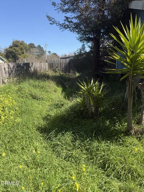 Detail Gallery Image 4 of 25 For 1361 E Oak St, Fort Bragg,  CA 95437 - 2 Beds | 2 Baths