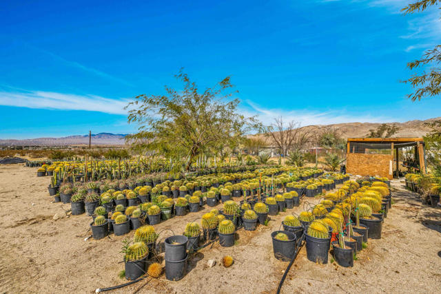 16961 Evans Lane Lane, Desert Hot Springs CA: https://media.crmls.org/mediaz/dd109348-ea4e-4bdc-8f76-26dd84964988.jpg