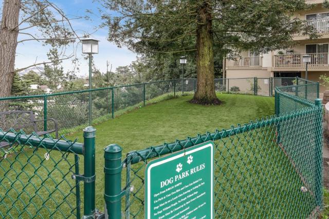 359 Half Moon Lane, Daly City CA: https://media.crmls.org/mediaz/dd11ba42-cb60-4cde-af5c-6267be6397f6.jpg