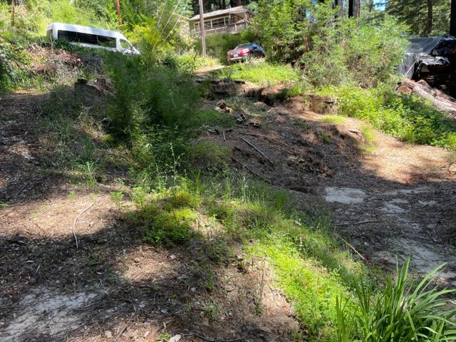 506 Sunset Road, Boulder Creek CA: https://media.crmls.org/mediaz/dd1ab2fa-1255-40df-91e7-e80febafeba3.jpg