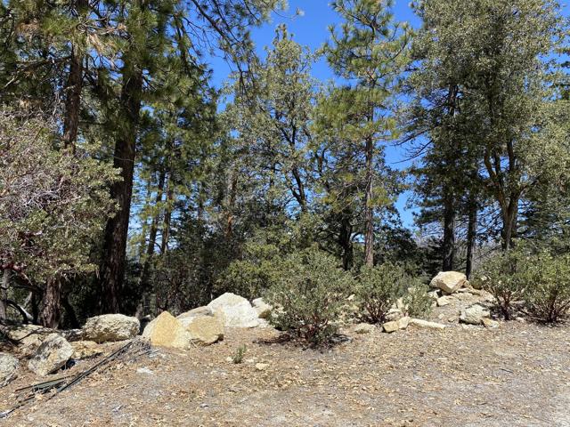 Image 3 for 52952 Cedar Crest Dr, Idyllwild, CA 92549