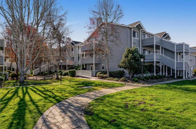 41 Grandview Street, Santa Cruz CA: https://media.crmls.org/mediaz/dd2a3bfa-807b-47a8-ba61-081ed91400eb.jpg