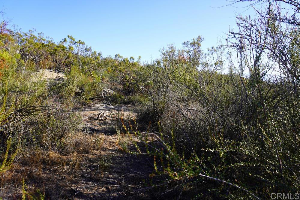 MLS #PTP2507282 image #10