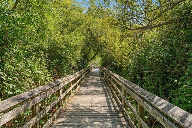 139 Tree Frog Lane, Santa Cruz CA: https://media.crmls.org/mediaz/dd38db14-bc3f-4ac3-90bb-3055c4306c0f.jpg