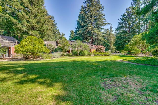 228 Central Avenue, Mountain View CA: https://media.crmls.org/mediaz/dd3af097-84a7-4d03-a3a7-2878b9b63ee7.jpg