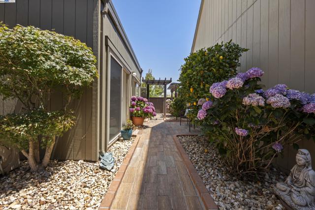 3527 Magnolia Dr, Alameda CA: https://media.crmls.org/mediaz/dd3c6f09-73b3-43d5-993a-3611e24dc6be.jpg