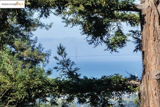 1398 Scenic Ave, Berkeley CA: https://media.crmls.org/mediaz/dd3de2a6-31e7-47e7-8ff5-f405ac0d5f5e.jpg