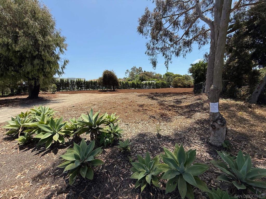 Woodford Drive La Jolla - photo 13