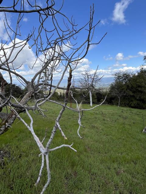 110 Silverline Road, Los Gatos CA: https://media.crmls.org/mediaz/dd4c6600-441d-4b59-9314-b1e351415322.jpg