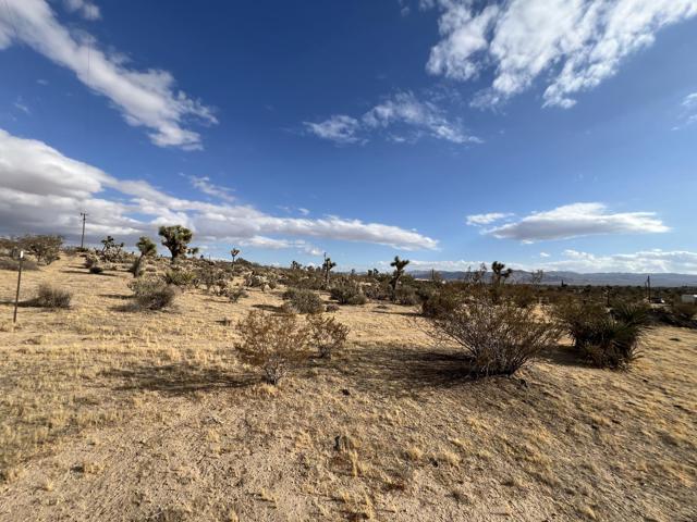 0 Campanula Street, Yucca Valley CA: https://media.crmls.org/mediaz/dd4e3b57-1d23-451e-b1f0-bc521cfffc9e.jpg