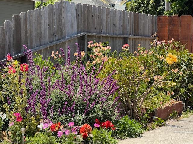 89 Hatton Avenue, Spreckels CA: https://media.crmls.org/mediaz/dd607969-de9d-4995-9d08-a3215ccd22c1.jpg