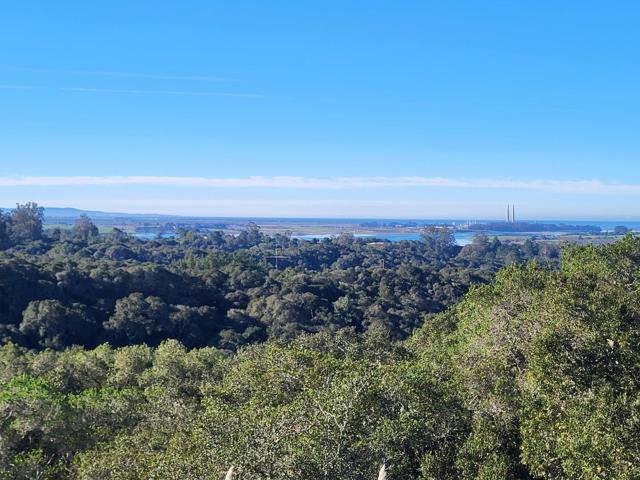 14643 Tumble Weed Lane, Royal Oaks CA: https://media.crmls.org/mediaz/dd62bc98-9395-4462-9884-25b6f2d51c2f.jpg