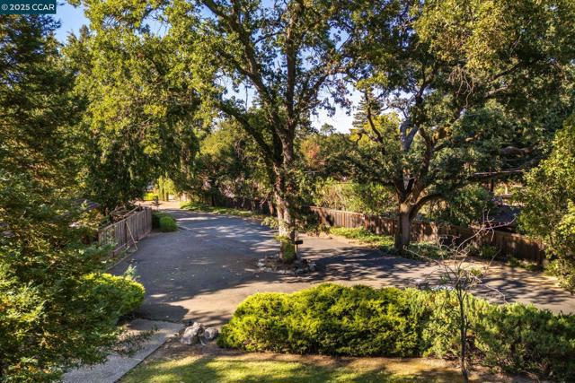 200 Lark Ln, Alamo CA: https://media.crmls.org/mediaz/dd63f6d0-df41-41a9-a296-5148506c3636.jpg